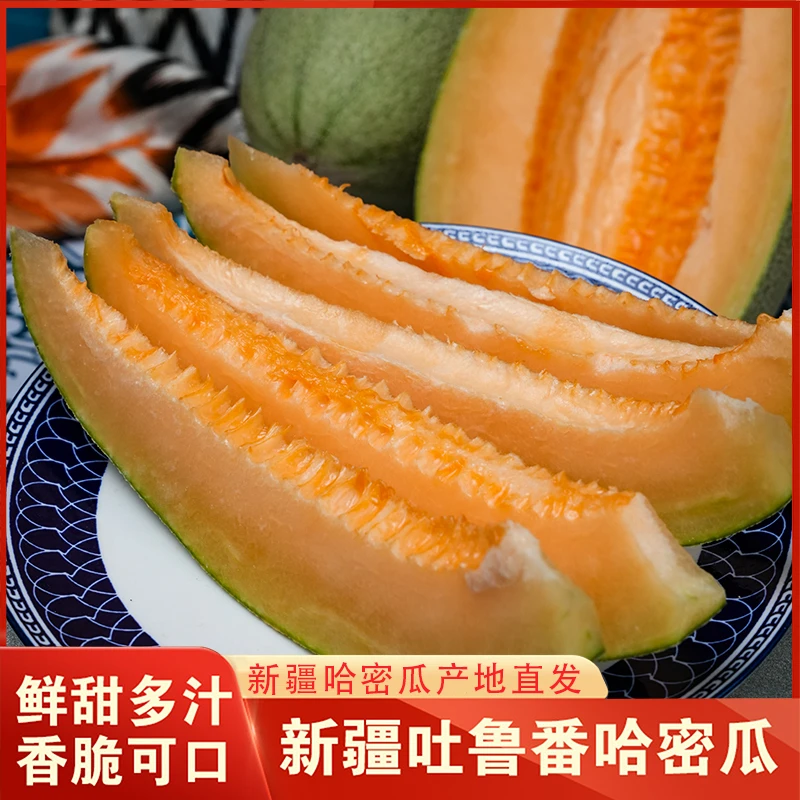 【LSNN!新疆专属】递丽疆新疆吐鲁番西州蜜哈密瓜脆甜多汁