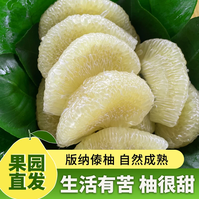 【老树傣柚】西双版纳傣柚 柚子原产地果园直发 新鲜采摘 香甜爆汁