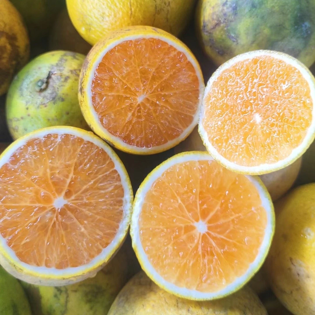 正宗海南绿橙花皮果