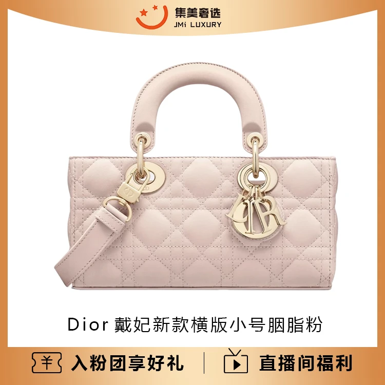 全新未使用 DIOR/迪奥 Dior新款戴妃横版小号胭脂粉时尚包/AB1965