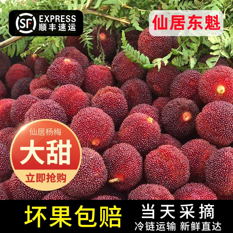 仙居杨梅东魁大杨梅80颗颗粒豪华包装暴甜新鲜现摘现发超大果