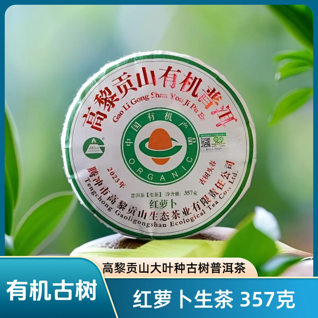 高黎贡山 2023年红萝卜有机古树茶 357克饼茶普洱生茶 古树头春