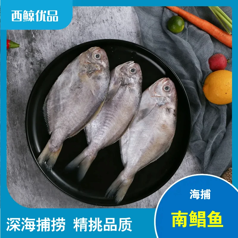 正宗野生南鲳鱼5斤