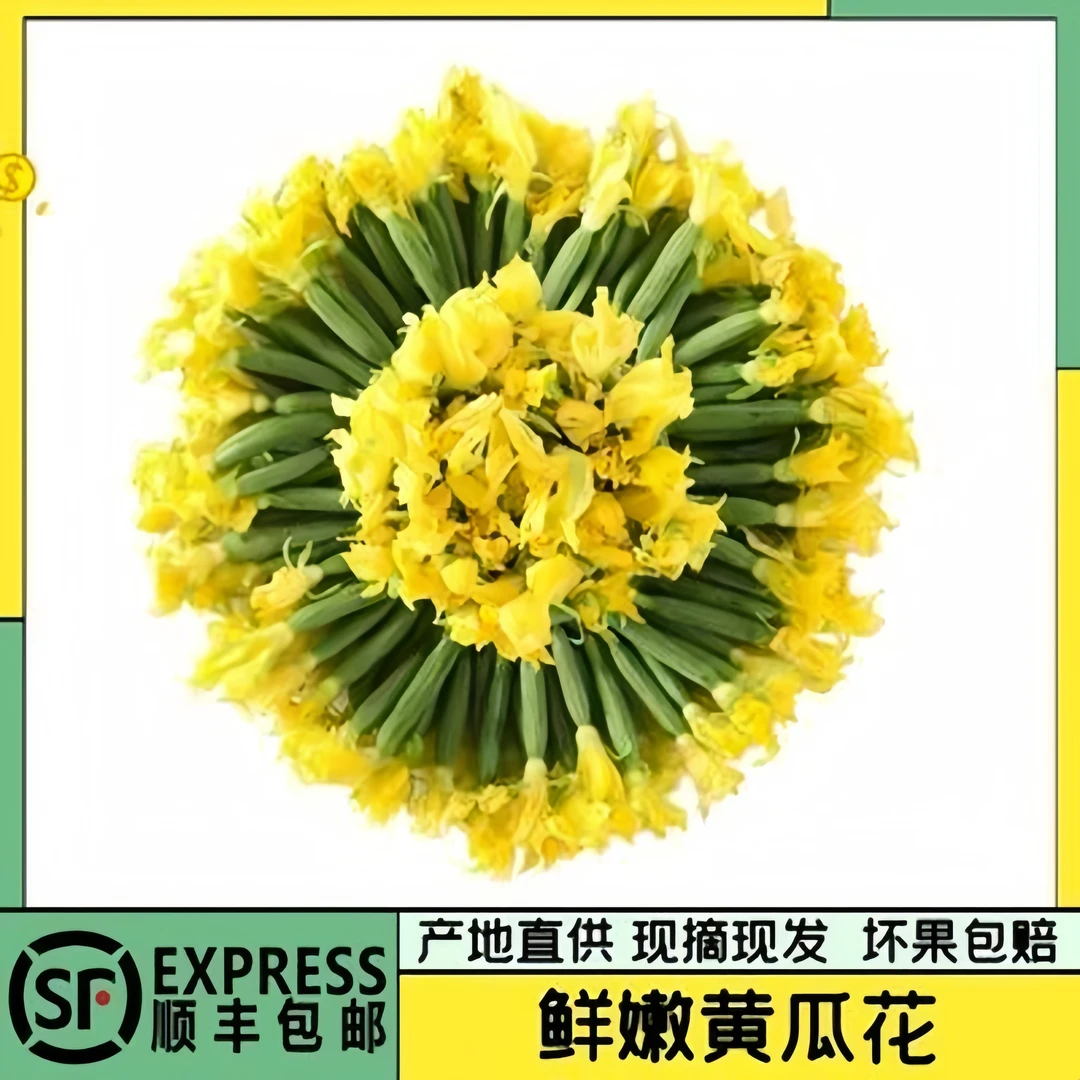 【新鲜黄瓜花】鲜嫩迷你黄瓜花青瓜花小乳瓜花农家蔬菜顺丰1/2/3斤