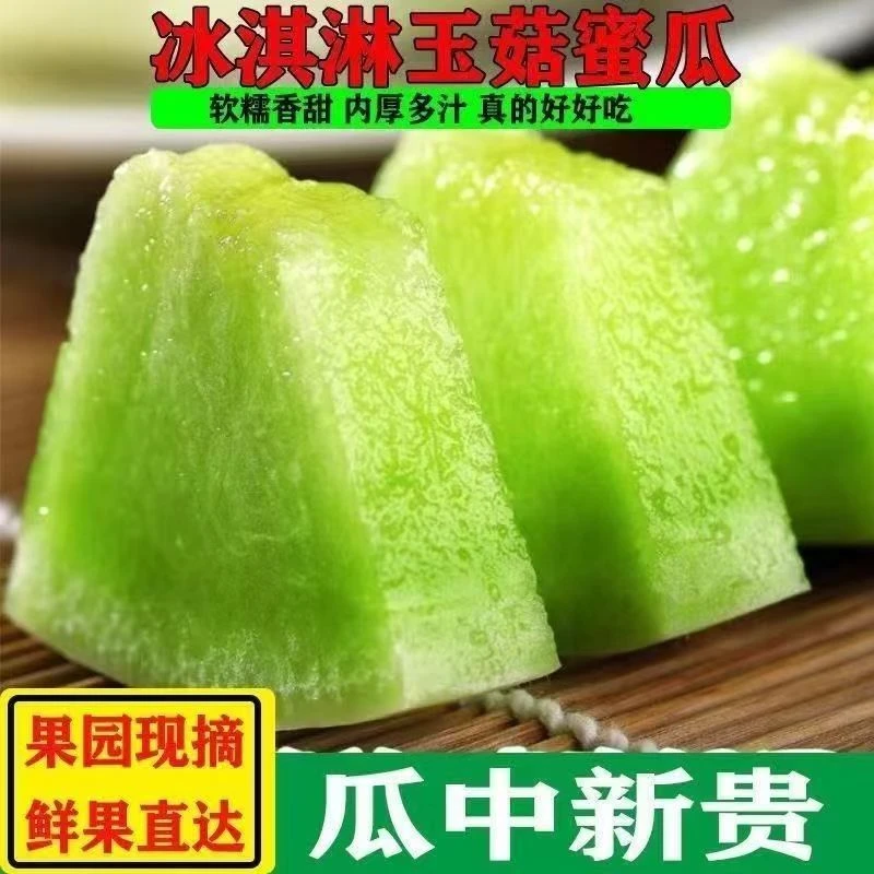 【一只元大头专属】冰淇淋玉菇蜜瓜4.5/8.5斤装新鲜应季水果