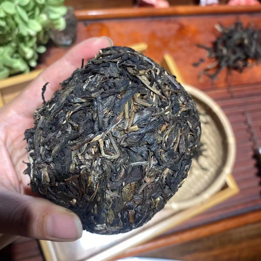 昔归【忙麓山】核心地块广场边2022年古树