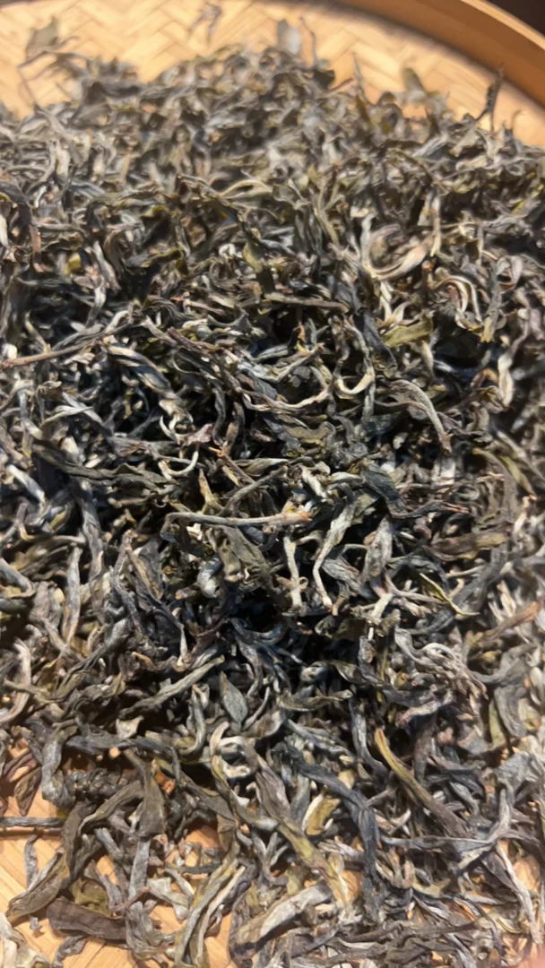 大黑猫普洱生茶样品10克