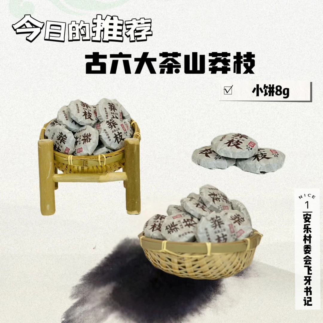 亏米交朋友｜古六大茶山 莽枝8g小饼五饼 普洱茶花蜜香