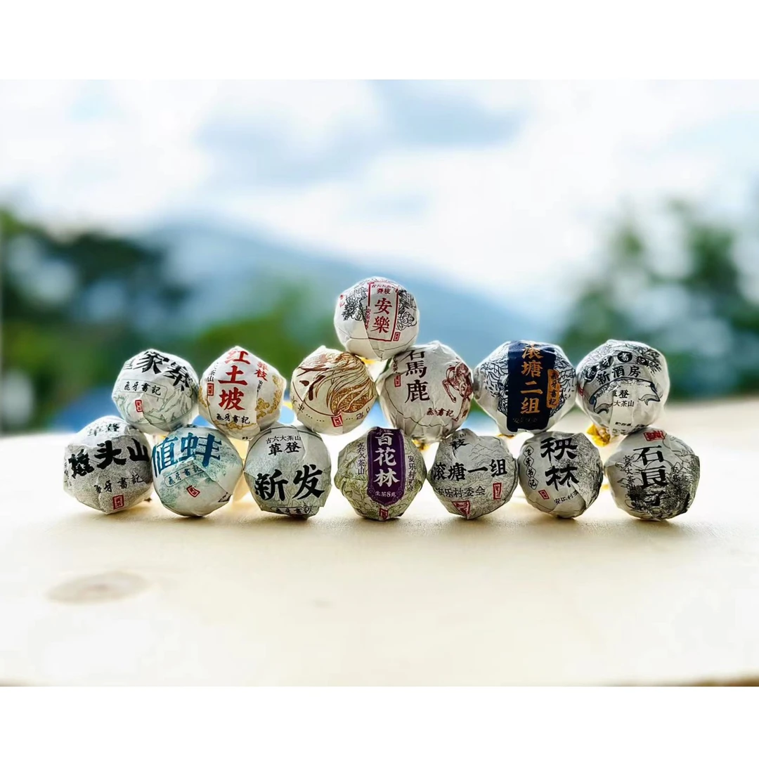 亏米交朋友｜古六大茶山春茶 两山十四村 革登莽枝8g龙珠蜜香花香