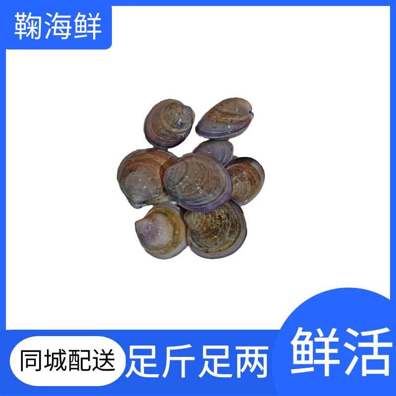 七彩贝