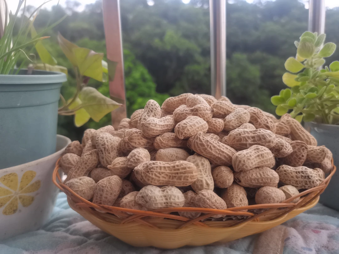 水煮花生忠信农家自种太阳晒干原味无添加香精香料花生追剧零食