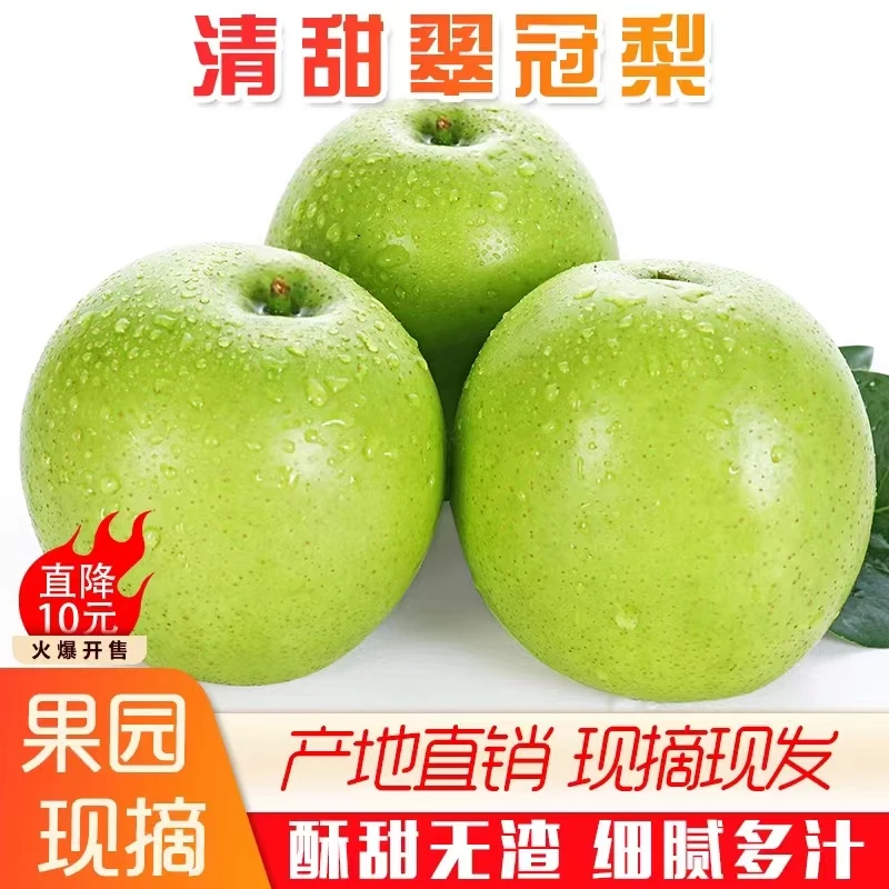 [脆甜多汁]翠冠梨青皮蜜梨新鲜采摘当季5斤整箱发货坏果包赔