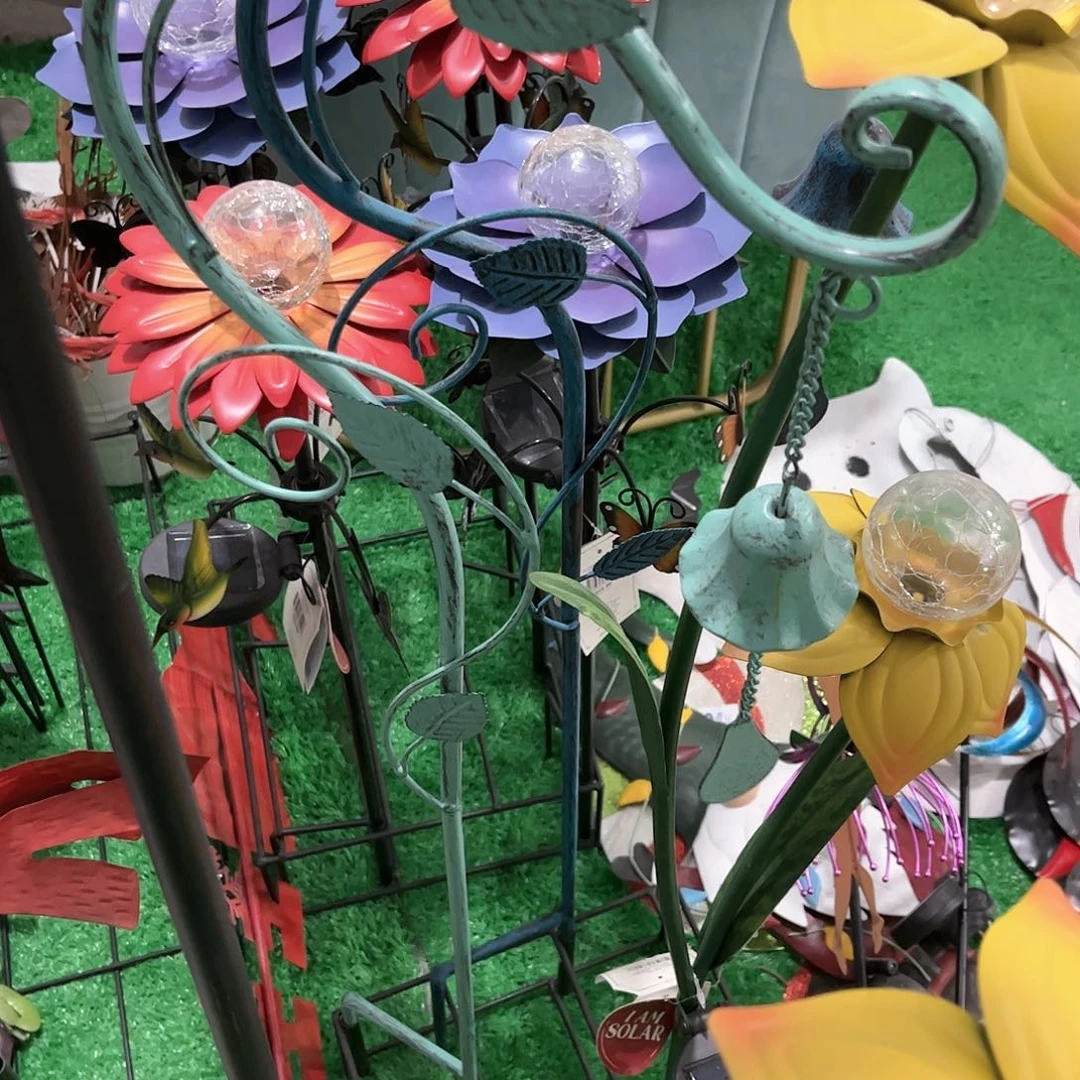 红陶20CM（含）-50CM（不含）