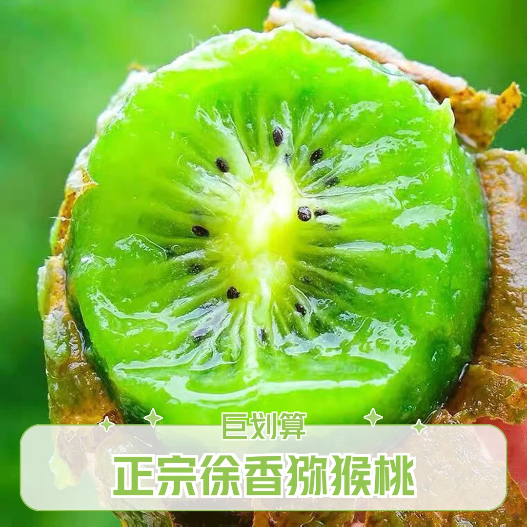 【正宗】陕西眉县徐香猕猴桃当季新鲜绿心奇异果软糯香甜2-5斤包邮