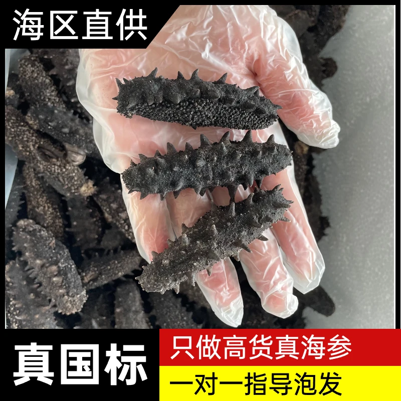 【真国标高涨发】干海参底播野生深海货75只左右250克半斤