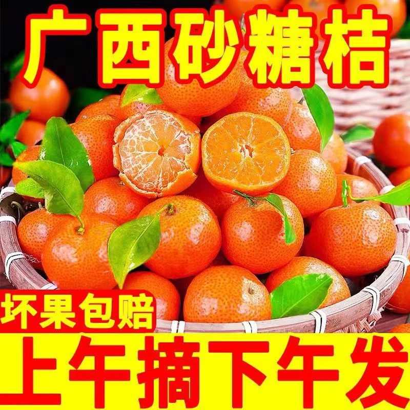 广西桂林正宗砂糖橘高山纯甜好品质大果新鲜成熟皮薄优质爽口直供