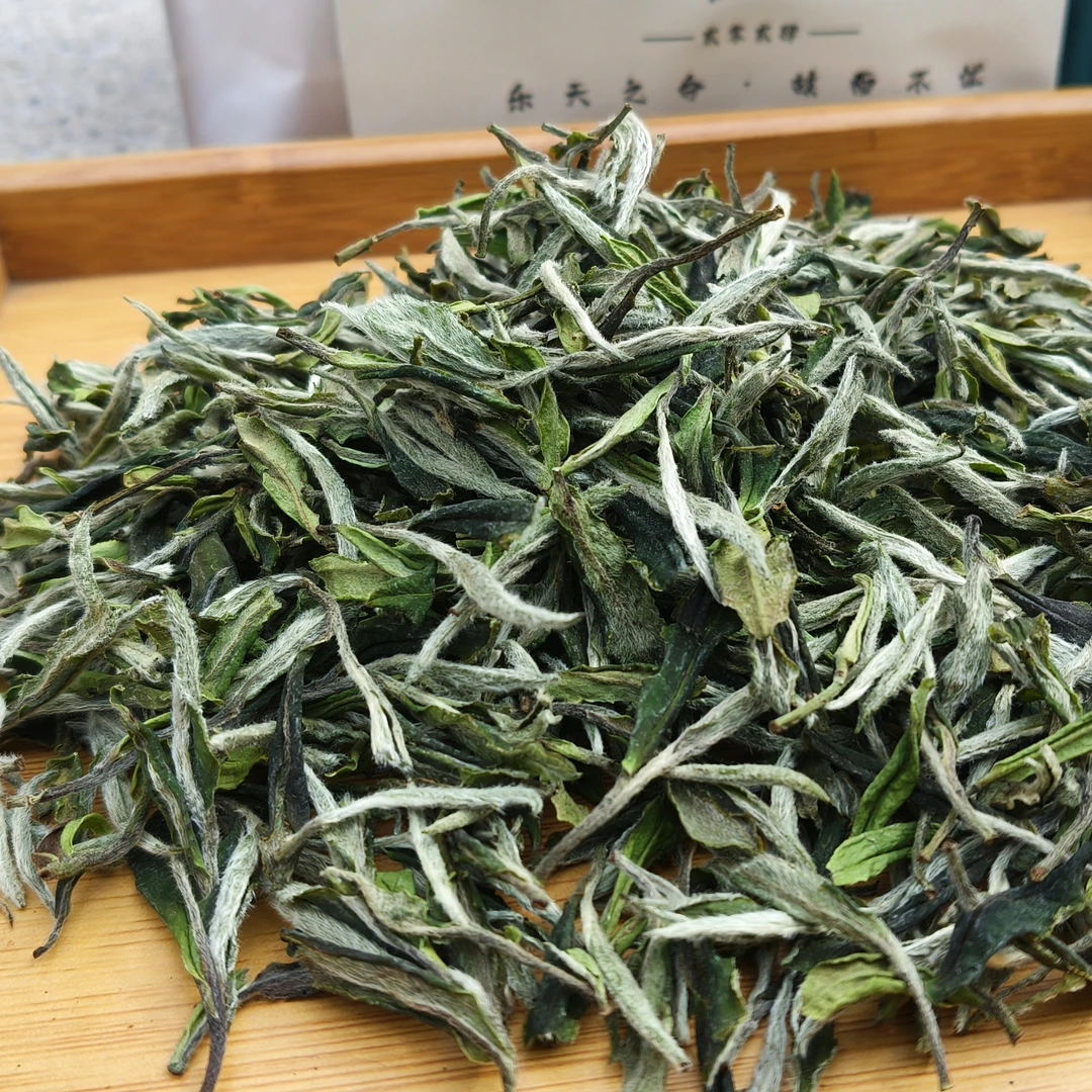 2024▪乐知白牡丹