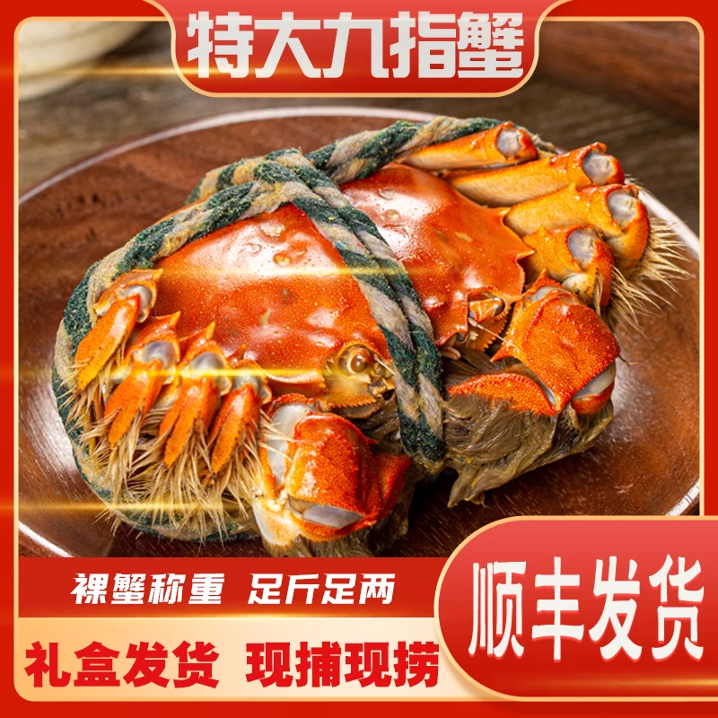 公母蟹各一半公蟹4两母蟹3两左右共6/7/8/9/10只大闸蟹 香草绑蟹