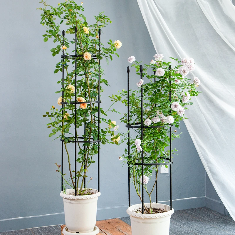 月季爬藤架花盆用铁线莲绿萝组装园艺花架可拼接