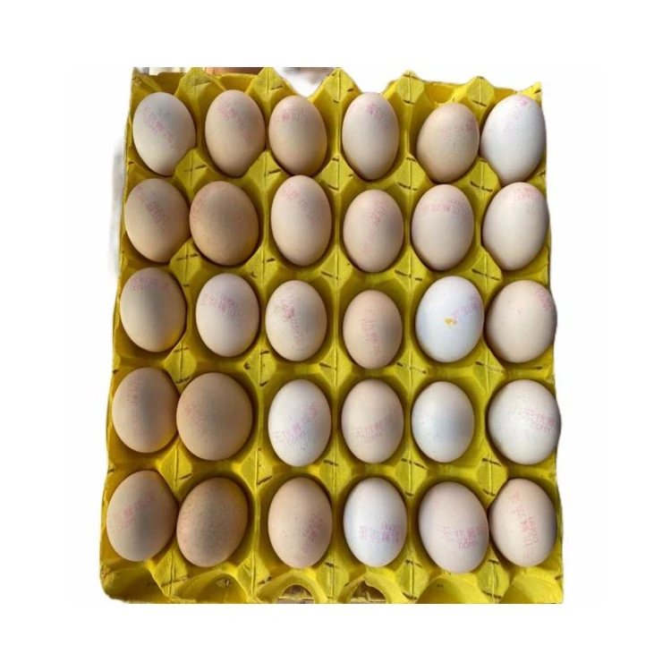 新鲜鸡蛋30枚 盒装