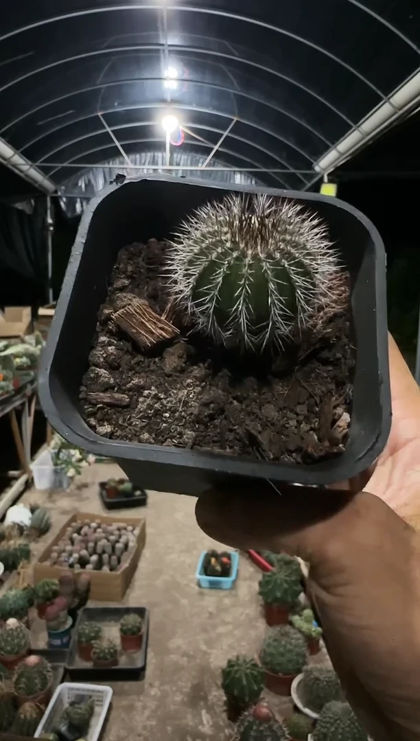 【闪购商品】1111111