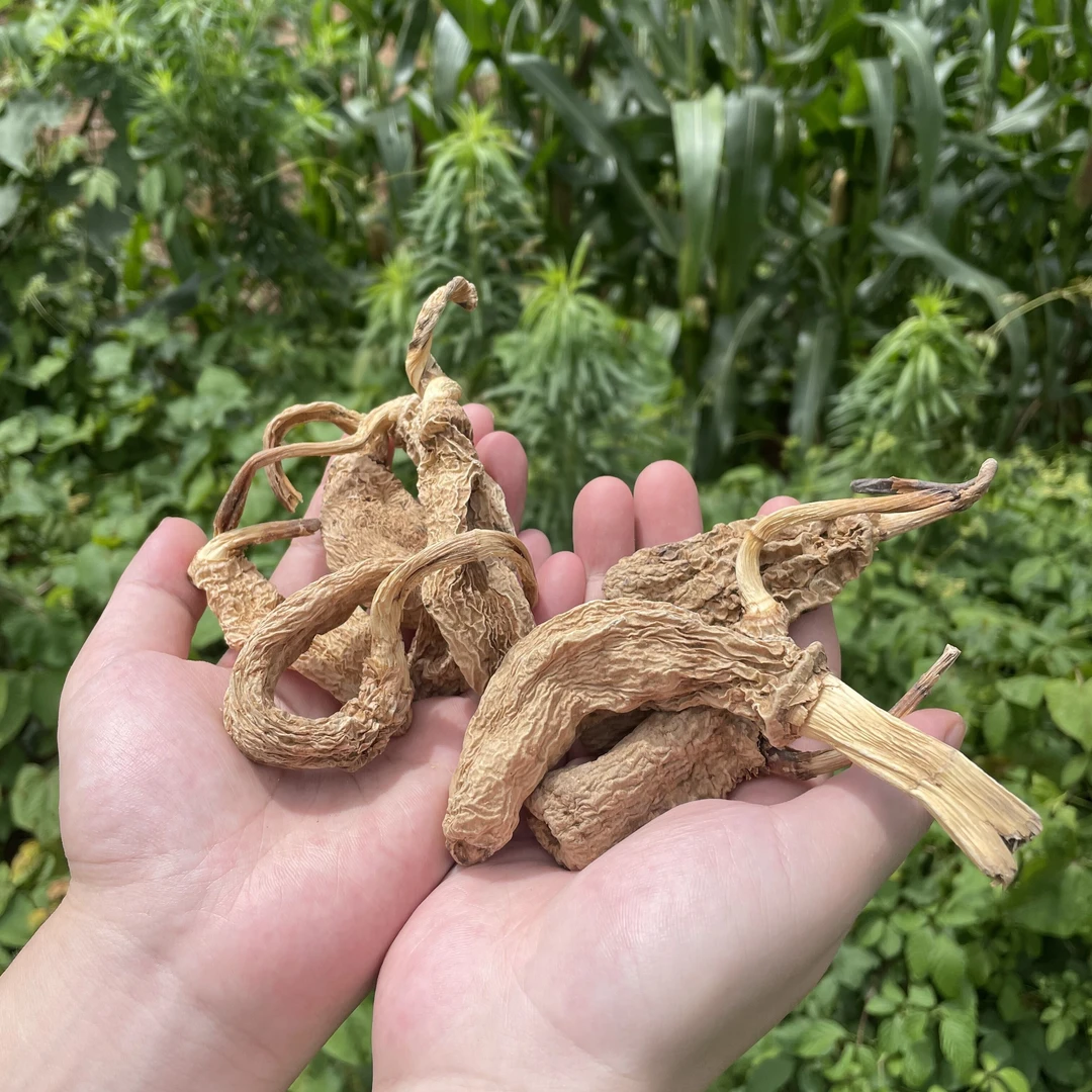 高山密林山货【补拍链接】天麻，单独拍下不发货非山核桃250g起