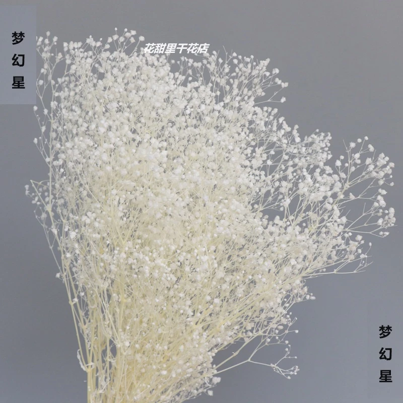 梦幻星永生花小满天星漂色干花diy材料包 情人节礼物摆摊浪漫