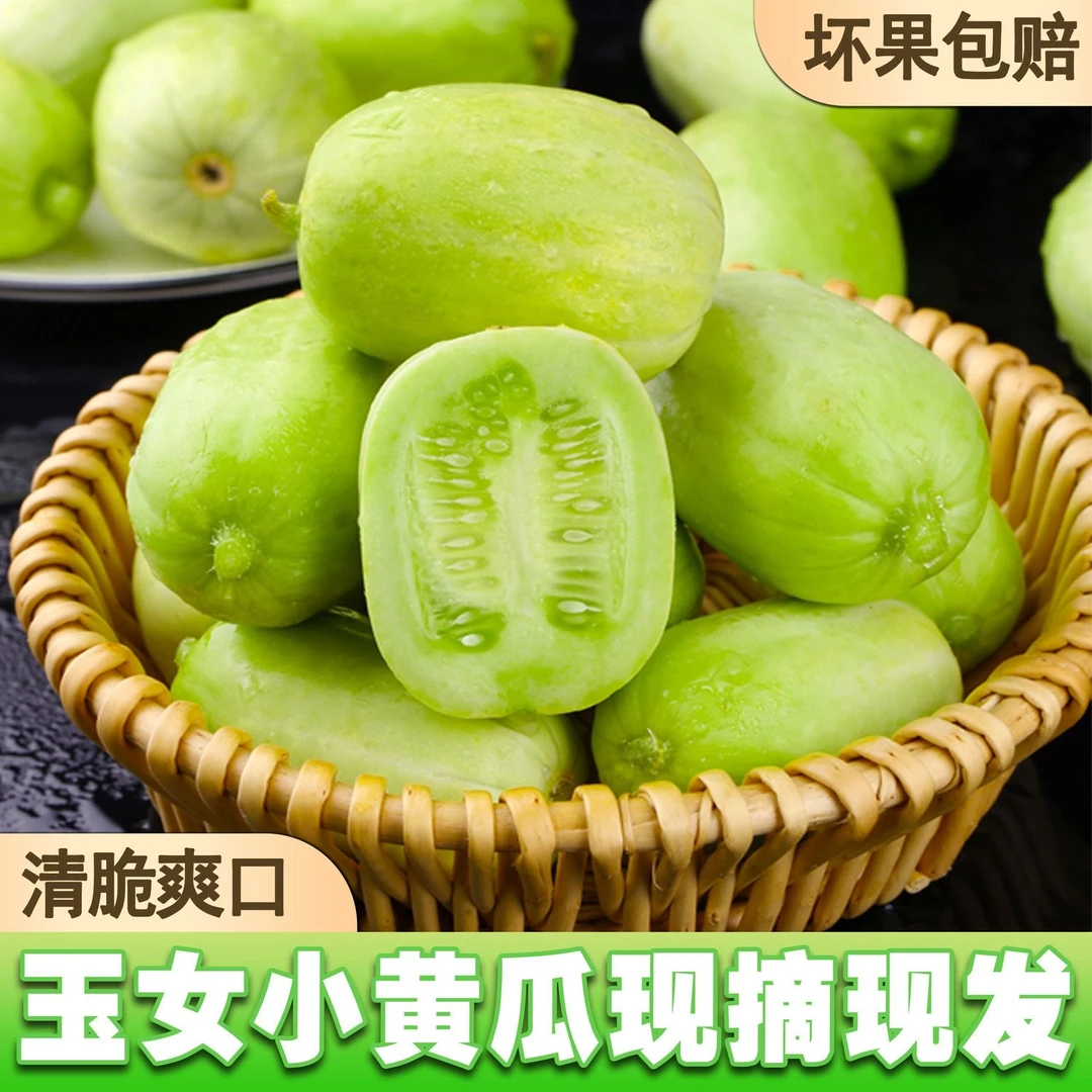 山东寿光正宗拇指黄瓜现摘新鲜多汁脆嫩爽口金童玉女水果小黄瓜