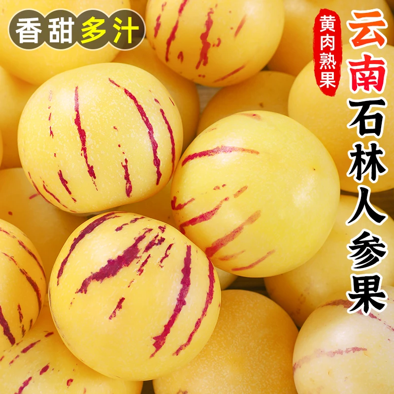 【正宗云南石林人参果】香甜多汁时令黄肉水果新鲜当季水果3-9斤装
