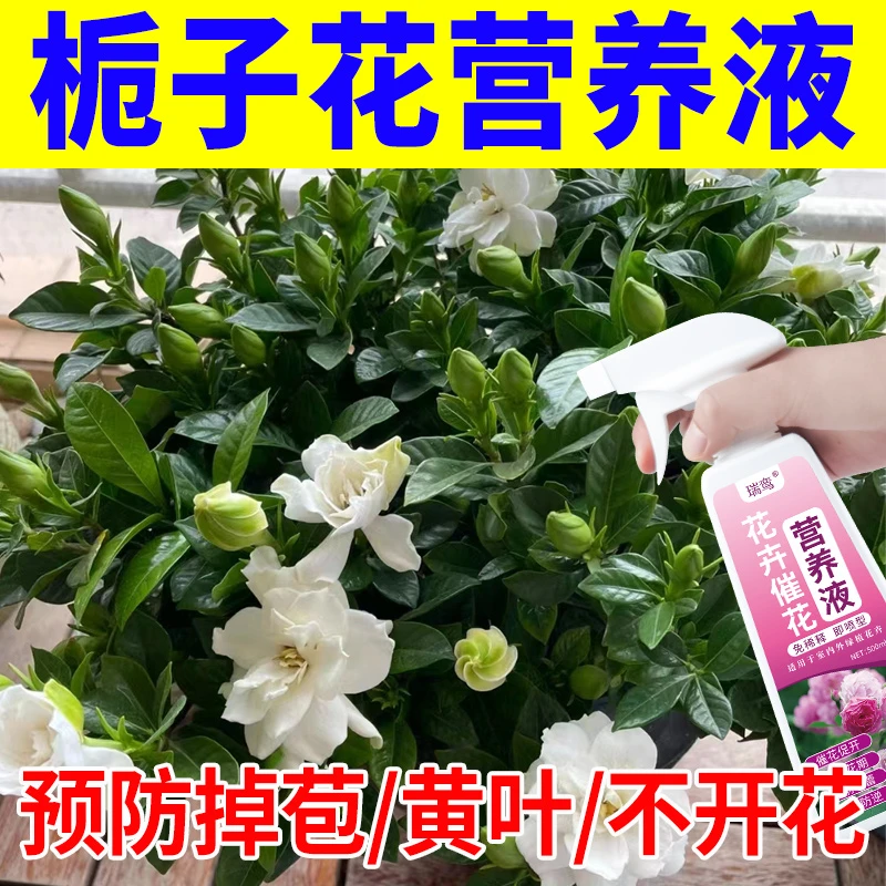 栀子花肥料专用肥营养液治不开花掉花苞黄叶茉莉花喜酸性植物通用
