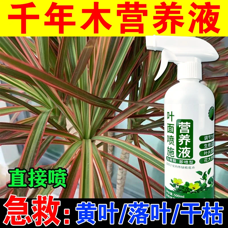 千年木肥料专用肥龙血树铁树防干枯黄叶促生长三合一植物营养液