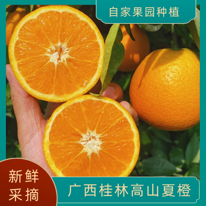 广西桂林高山夏橙当季水果鲜橙子橙汁3/5/9斤果园现摘新鲜