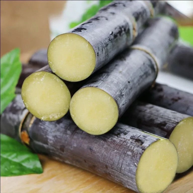 广西黑皮甘蔗精选中段新鲜脆甜多汁应季鲜果果园现砍现发