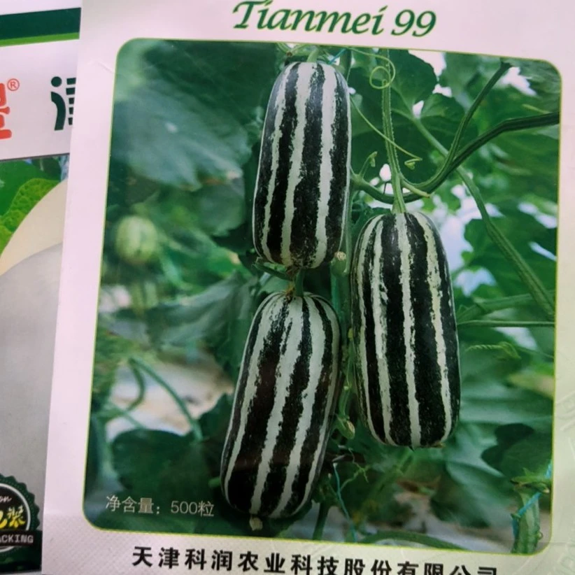天美99薄皮甜瓜种子天津农科院科润蔬菜所育种原厂包装