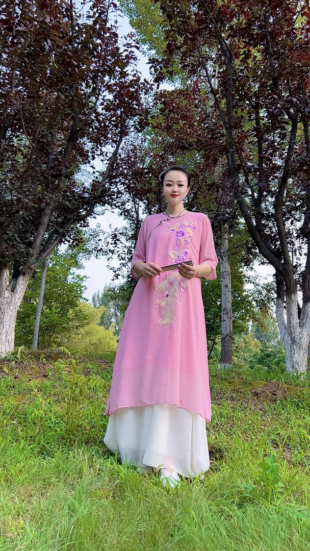 95款 国风绣花连衣裙新中式夏季中长款 同色里衬