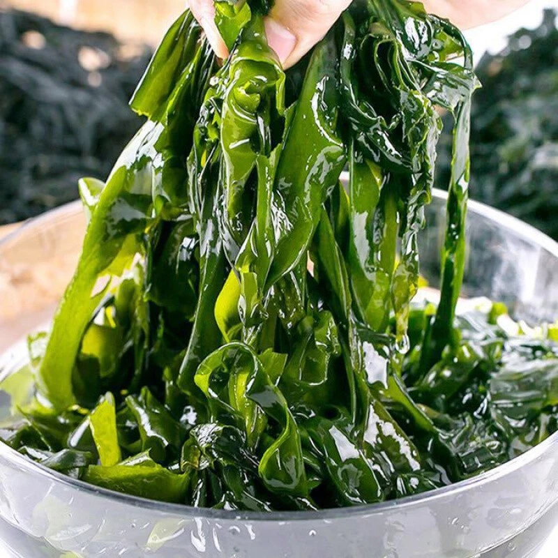 大连盐渍裙带菜海带芽白菜海藻火锅可配虾仁虾皮宝宝无沙新鲜炒菜