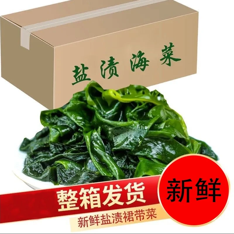 【无虫眼】盐渍裙带菜海藻海带鲜嫩凉拌麻辣烫火锅爽滑好新鲜美味