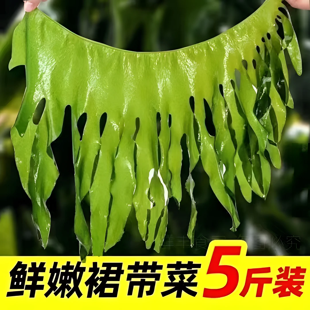 【保证无虫眼】盐渍裙带菜一箱凉拌菜豆腐汤包饺子免洗新鲜海白即食