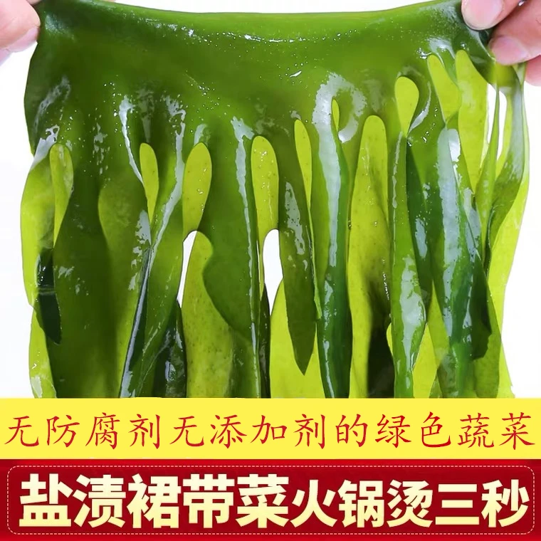 无虫眼【太便宜了】盐渍裙带菜海藻海带鲜嫩凉拌麻辣烫火锅出口绿色