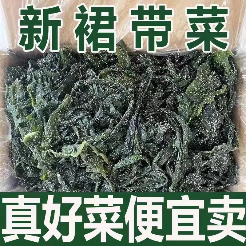 无虫眼【太便宜了】盐渍裙带菜海藻海带鲜嫩凉拌麻辣烫火锅食材精品