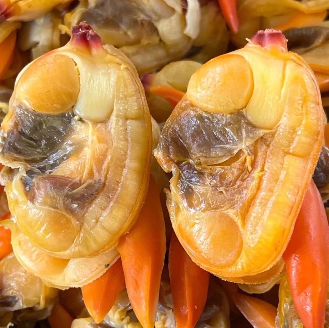 东港特产超大文贝干丹东黄蚬子海鲜特大文贝250克/包