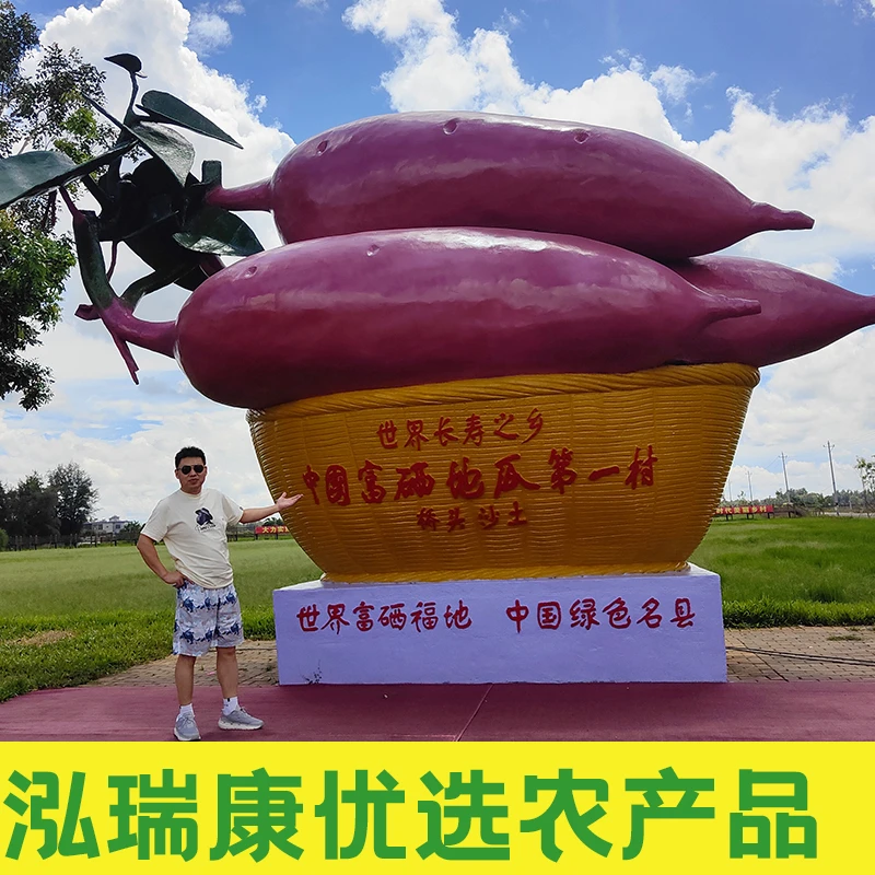 正宗海南桥头地瓜富硒沙地种植甜糯好吃产地直供源头现发5斤/8斤