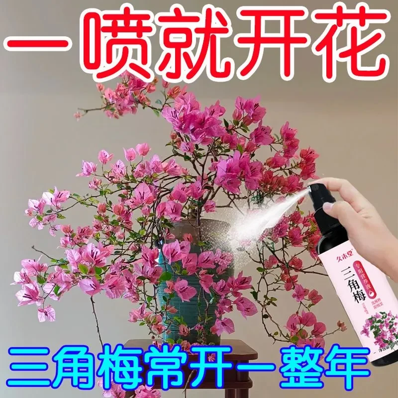一喷就开】三角梅营养液专治黄叶掉叶不开花促绿叶催苞促花专用肥
