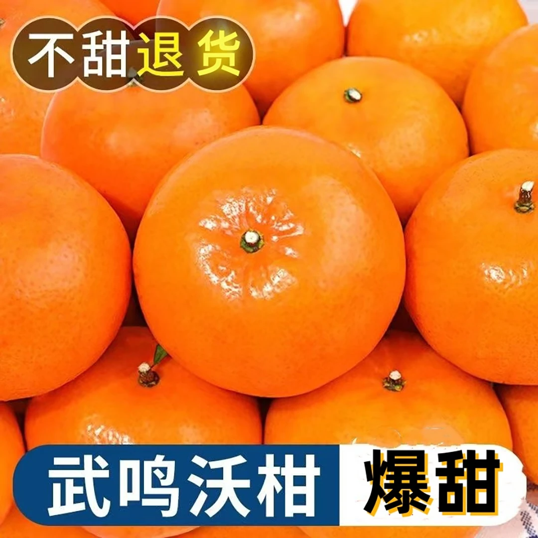 【超低价】广西武鸣沃柑1/9斤新鲜采摘少核皮薄肉厚多汁产地直发