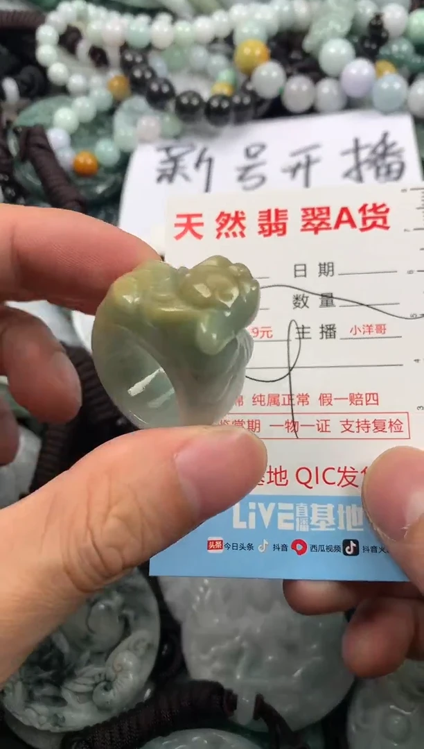 【闪购商品】翡翠颈饰未镶嵌1
