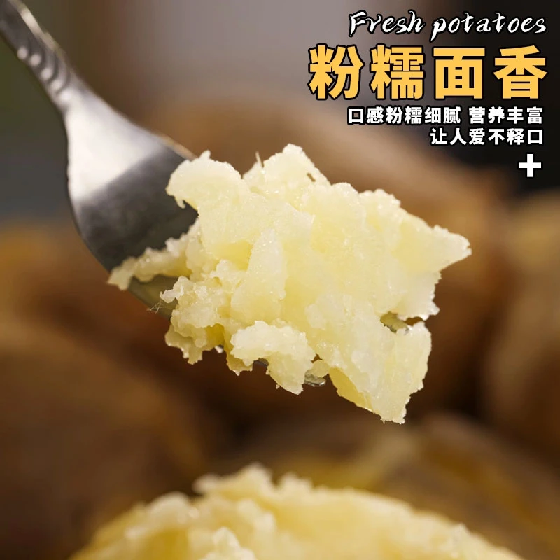 甘肃定西临洮黄皮黄心干面沙土豆黄心土豆新鲜营养饱满皮薄美味