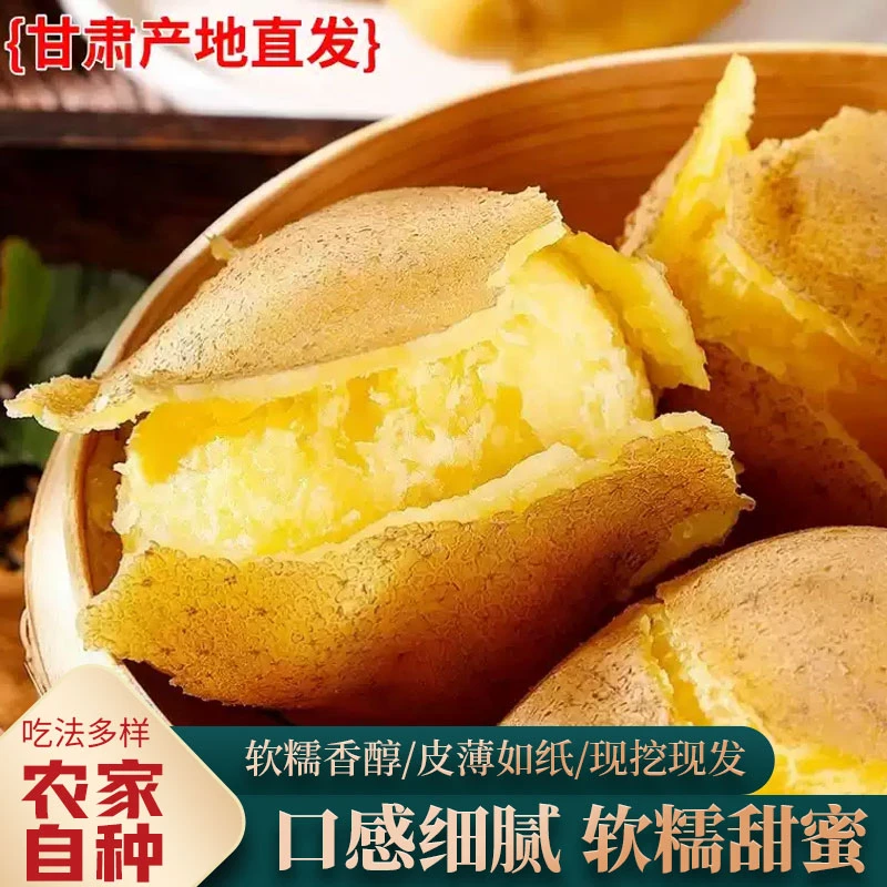 甘肃定西临洮干面沙土豆新鲜营养饱满清香种植高原美味