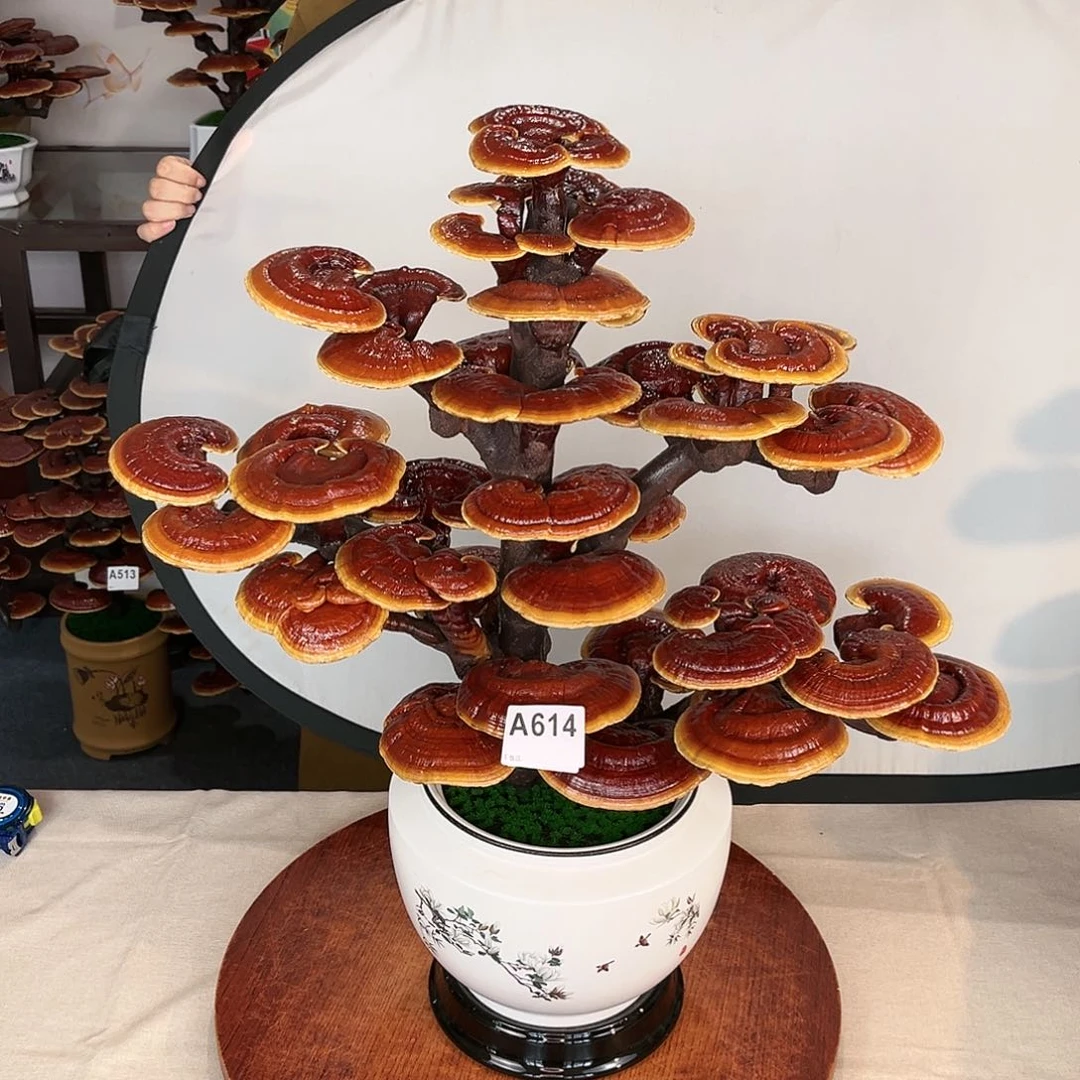 万事如意8888888888