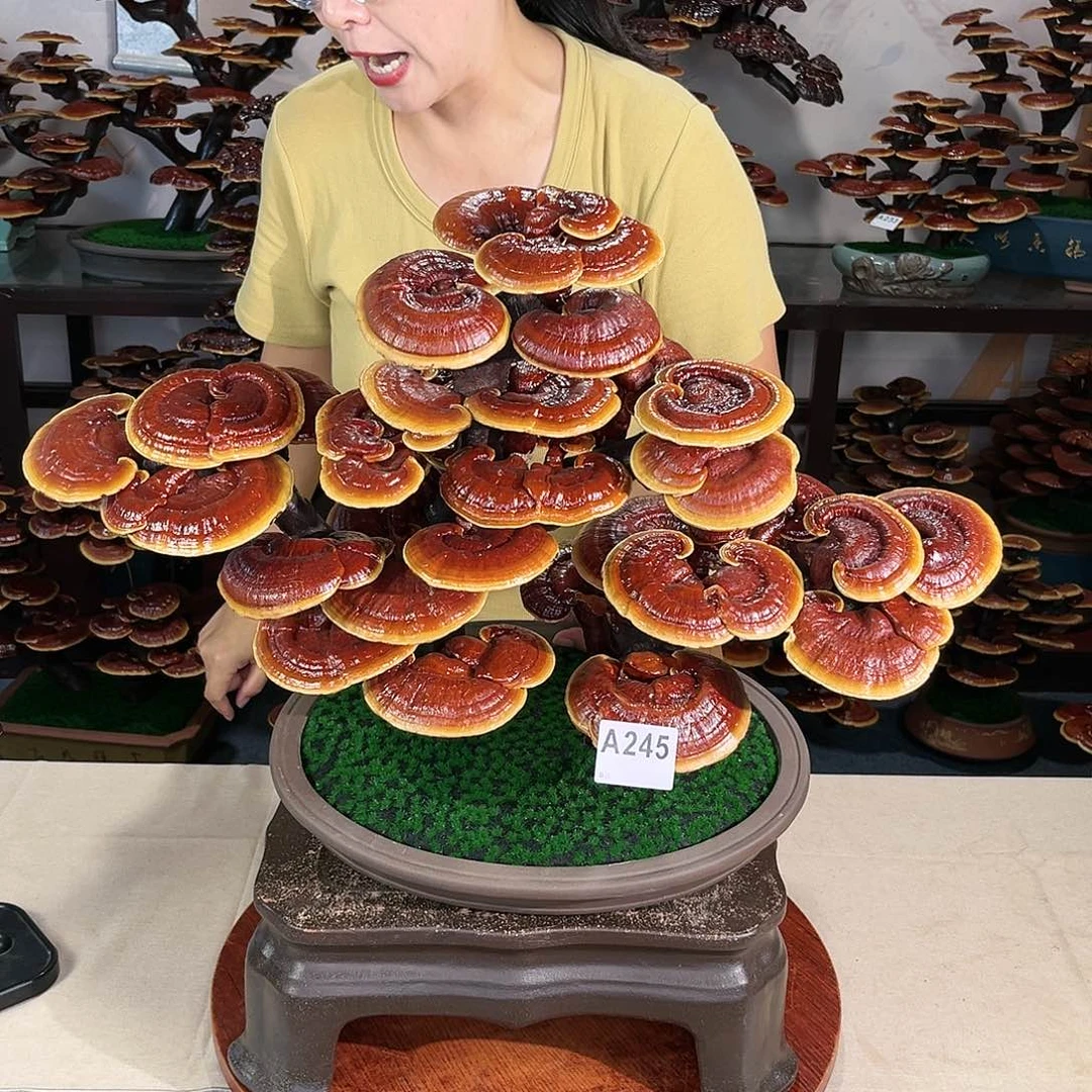 万事如意888888888888