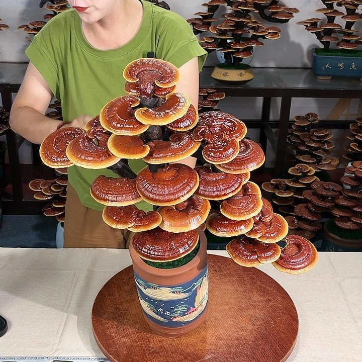 万事如意888888888888
